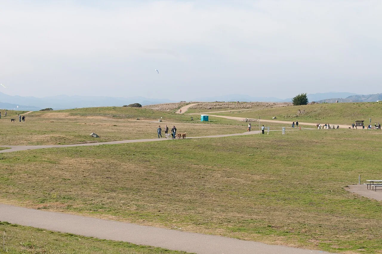 People walking on a winding path in a park